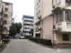 花园浜南村实景图，拍摄于2021/6/7