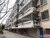 花园浜南村实景图，拍摄于2021/6/7