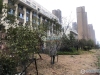 青禾暨阳府实景图，拍摄于2021/6/7