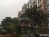 仓基花苑实景图，拍摄于2021/6/7