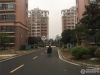 仓基花苑实景图，拍摄于2021/6/7