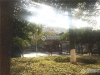联欣花苑实景图，拍摄于2021/6/7