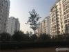 新民花苑实景图，拍摄于2021/6/7