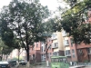 悦来花苑实景图，拍摄于2021/6/7