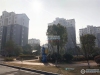 悦来六村实景图，拍摄于2021/6/7
