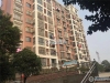 东莱镇兴东花苑实景图，拍摄于2021/6/7