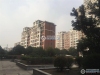 东莱镇兴东花苑实景图，拍摄于2021/6/7