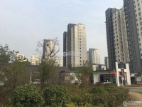 包基花苑实景图，拍摄于2021/6/7