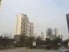 包基花苑实景图，拍摄于2021/6/7