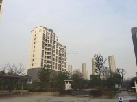包基花苑实景图，拍摄于2021/6/7