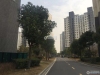 包基花苑实景图，拍摄于2021/6/7