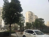 包基花苑实景图，拍摄于2021/6/7