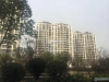 包基花苑实景图，拍摄于2021/6/7