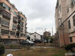 ������Է���