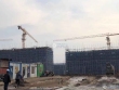 锦鲤花园实景图，拍摄于2021/6/9