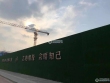 锦鲤花园实景图，拍摄于2021/6/9
