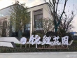 锦鲤花园