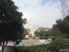 新乘花苑实景图，拍摄于2021/6/9