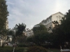 新乘花苑实景图，拍摄于2021/6/9