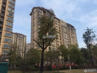 新乘北苑实景图，拍摄于2021/6/9