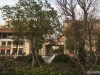 新乘北苑实景图，拍摄于2021/6/9