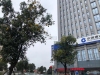 澳洋国际大厦实景图，拍摄于2021/6/9