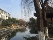 锦绣江南实景图，拍摄于2021/6/9
