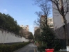 锦绣阳光实景图，拍摄于2021/6/9