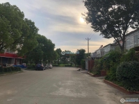 牛桥小区实景图，拍摄于2021/6/9