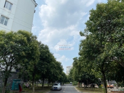 ���С��һ�����