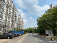 金成小区一期实景图，拍摄于2021/6/9