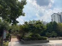 金成小区一期实景图，拍摄于2021/6/9