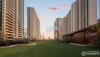 金茂府(滨湖名邸)实景图，拍摄于2022/1/6