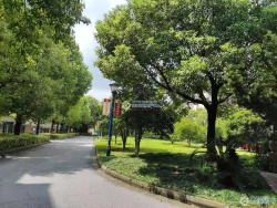 ����Է���
