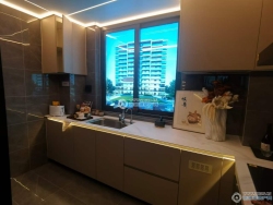 �貽������巿ʵ��