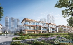 ����ҼƷ���