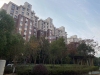 勤星苑北区实景图，拍摄于2023/11/29