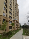 悦隆新村实景图，拍摄于2024/10/13