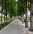 宇星新村