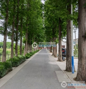 宇星新村