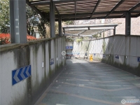 金地华城实景图，拍摄于2024/11/13