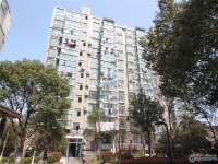 金地华城实景图，拍摄于2024/11/13