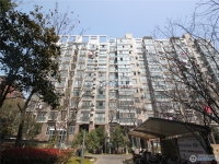 金地华城实景图，拍摄于2024/11/13