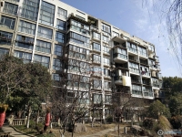 金地华城实景图，拍摄于2024/11/13