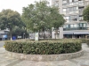 景巷花苑实景图，拍摄于2024/11/13