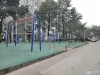 景巷花苑实景图，拍摄于2024/11/13