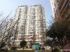 都市水苑实景图，拍摄于2024/11/13