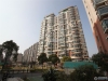 都市水苑实景图，拍摄于2024/11/13