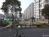 都市水苑实景图，拍摄于2024/11/13