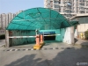 都市水苑实景图，拍摄于2024/11/13